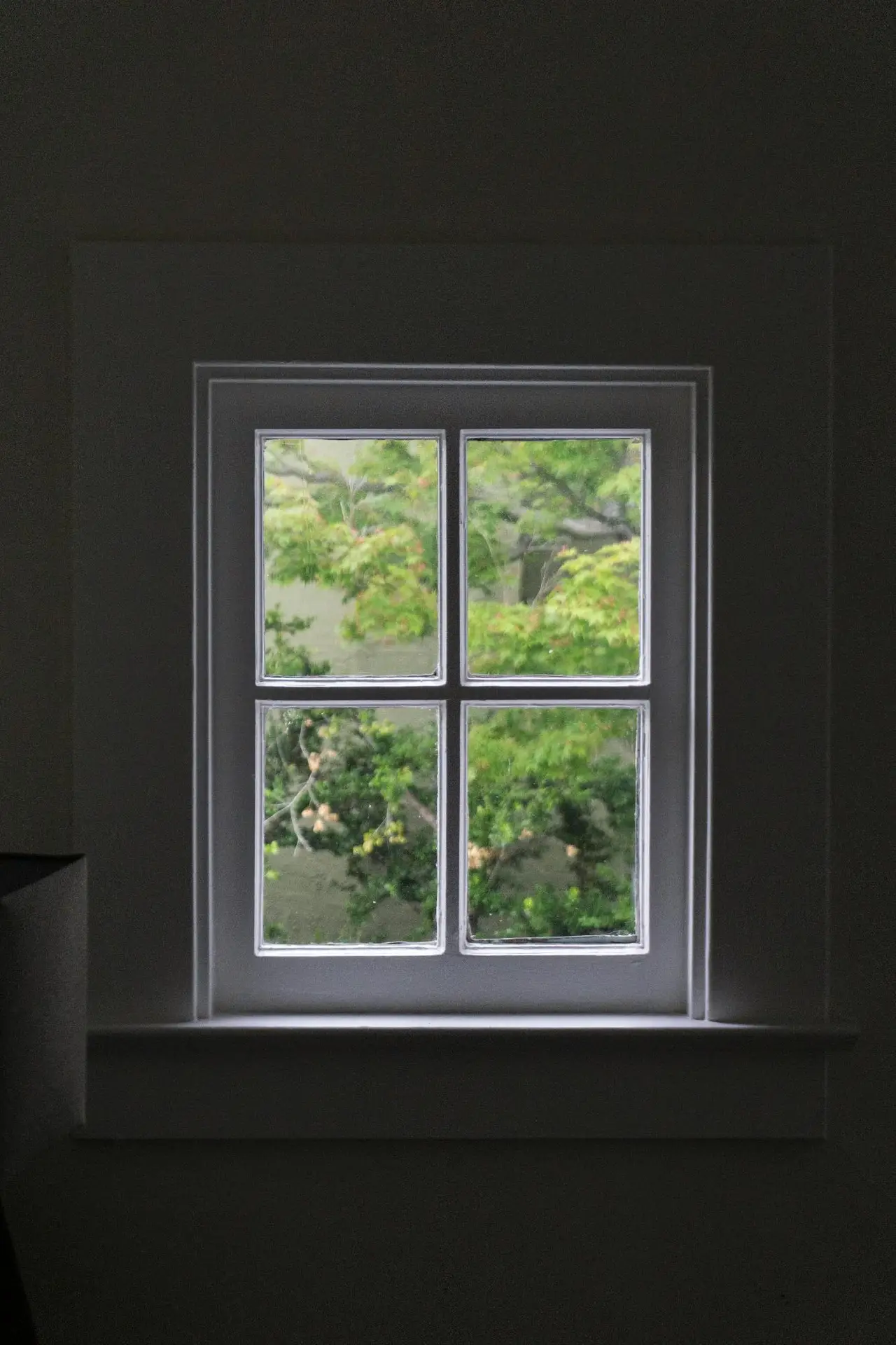 a window